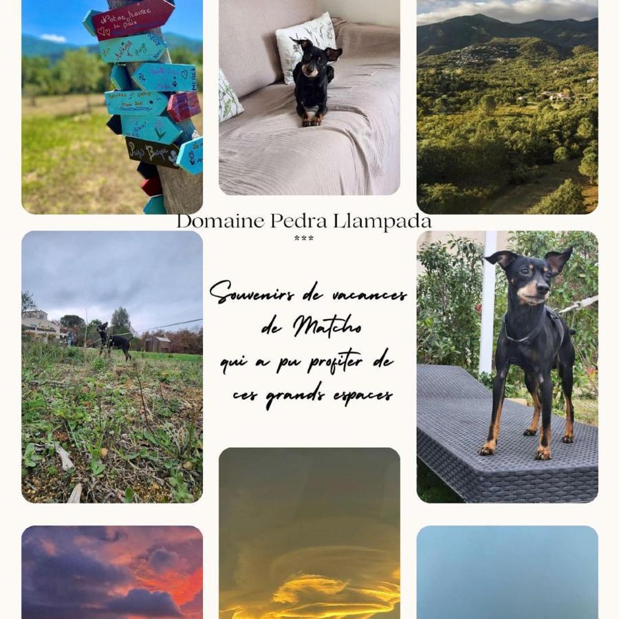 Domaine Pedra Llampada Gite Mer Villelongue-dels-Monts Exteriér fotografie