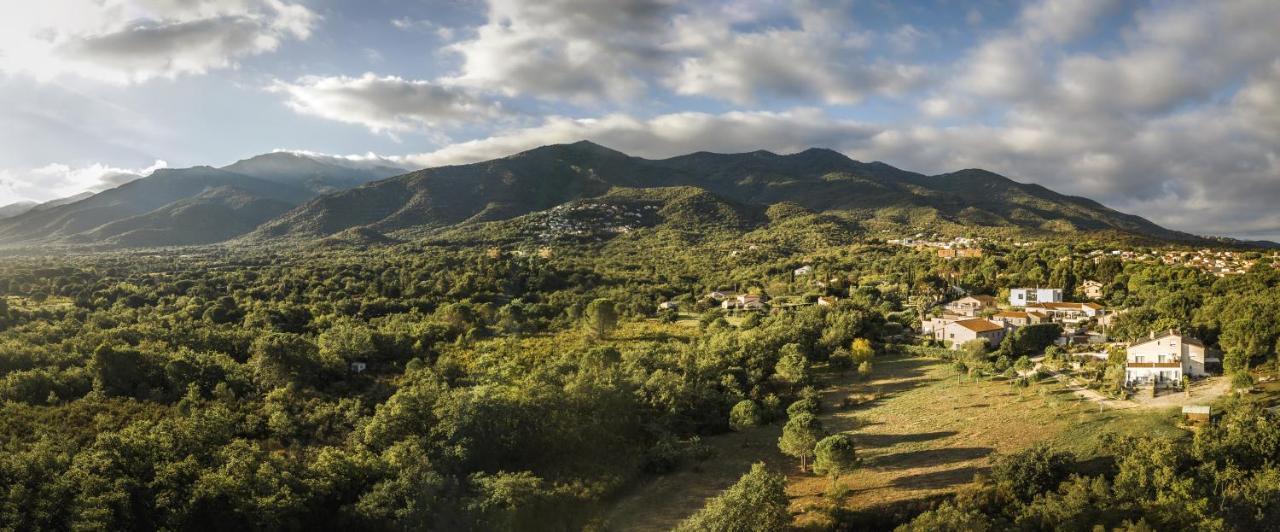 Domaine Pedra Llampada Gite Mer Villelongue-dels-Monts Exteriér fotografie